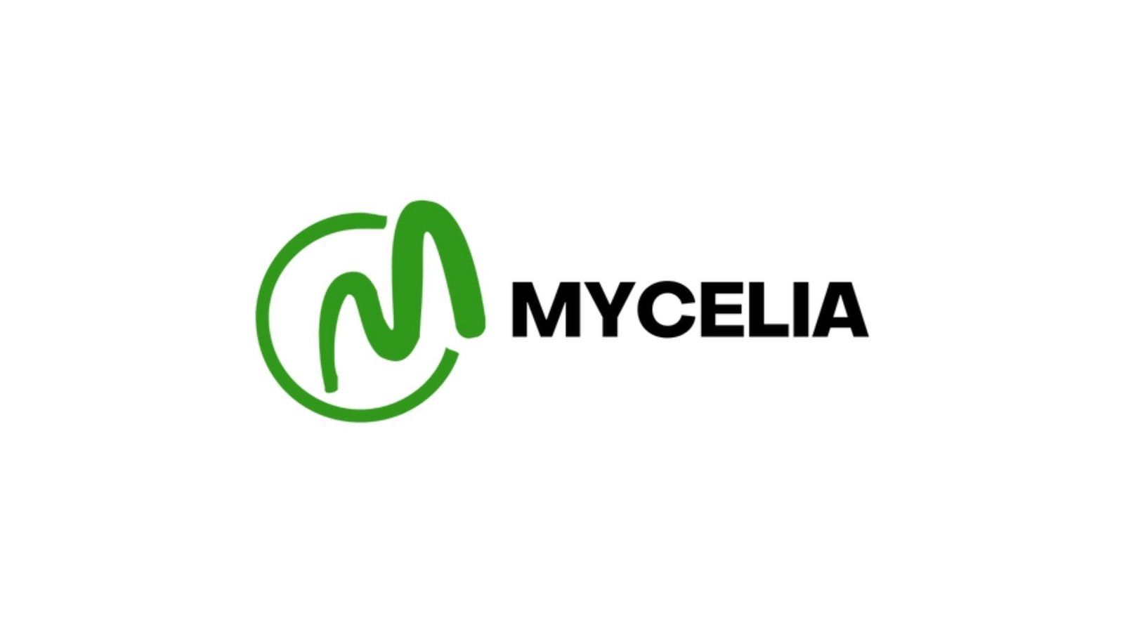 Mycelia Jm